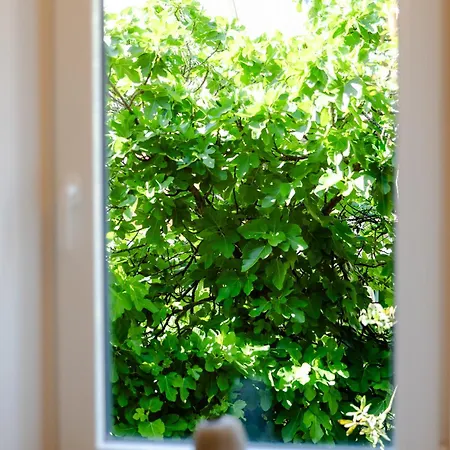 Guest house Porto Nativo